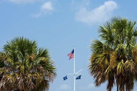 Flagpole with American and South Carolina Flags in between palmtreesの写真素材
