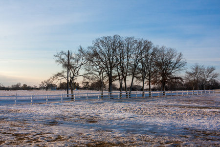 Country landscape with fresh snow covering the groundの写真素材