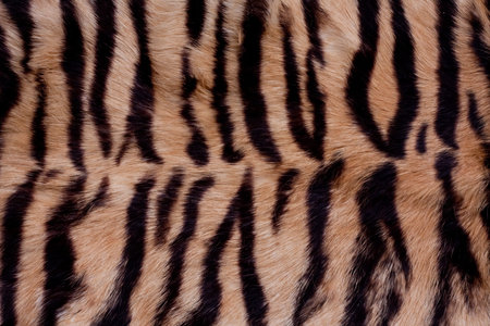 Brown and black animal fur background 
