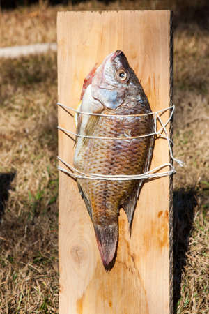 Fish tied  and  cooking on a wooden plank の写真素材