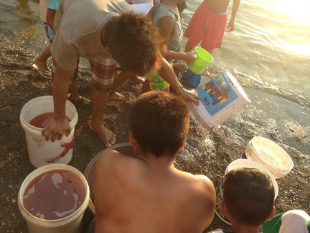 People busy collecting diesel in a coastline in Rosario Cavite Philippines due to oil spill from a...