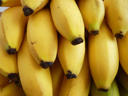 A lot of riped yellow bananas on backgroundの写真素材