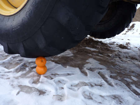 Close up of a tractor sitting on two orangesの写真素材