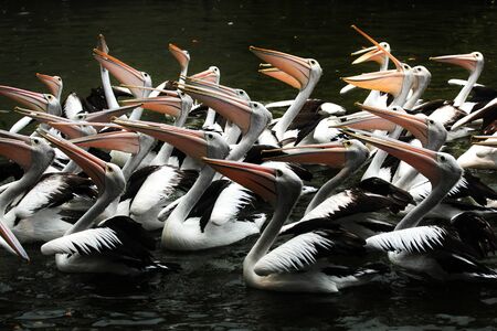 Breakfast time.. の素材