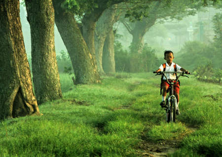 Boy cycling to schoolの素材