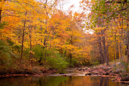 Scantic River