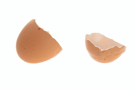 Egg
