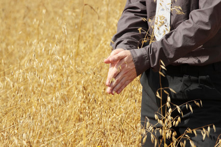 Young modern farmer in suit standing in field of oats

の写真素材