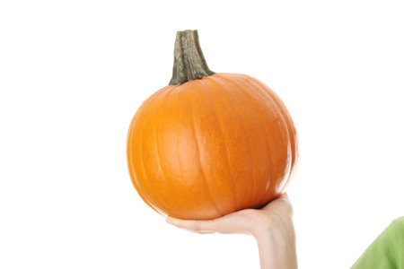 Young woman holding orange pumpkin close up,isolated
の写真素材