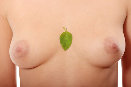 A close up of breast with mint leafの写真素材