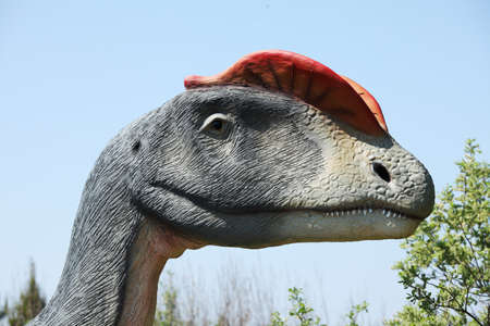 Dinosaur - Dilophosaurus head against blue skyの写真素材