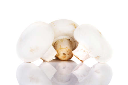 Edible button mushroom, 	champignon, isolated on white background の写真素材
