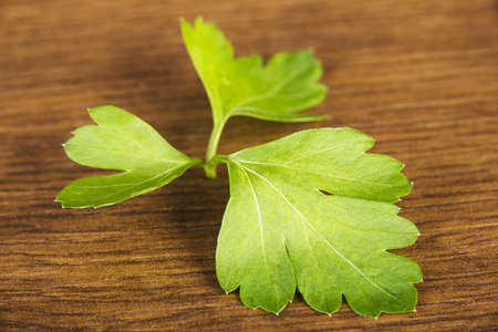 Green parsley on tableの写真素材