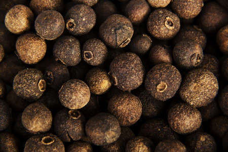 Allspice for backgroundの写真素材