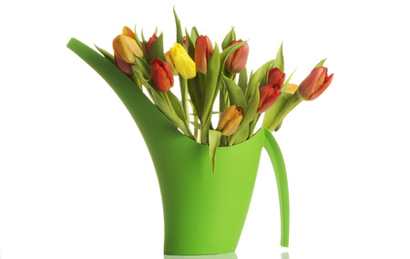 Bouquet of fresh living tulips. Isolated on white.の写真素材