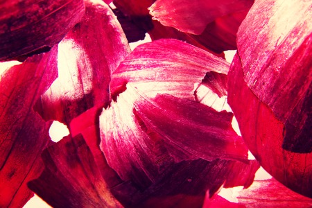Peeled red onion skinの写真素材