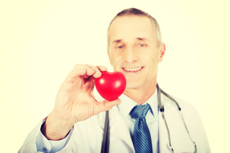 Experienced mature male doctor holding heart model.の写真素材