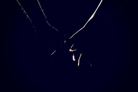 Woman's and man's hands together.