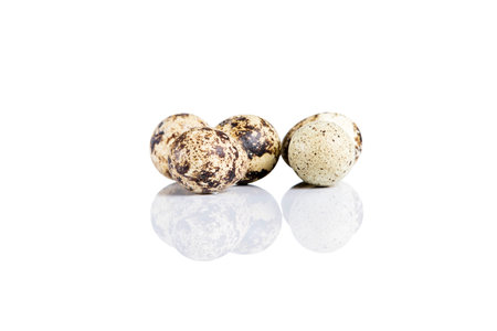 Raw guail eggs isolated on white background.の写真素材