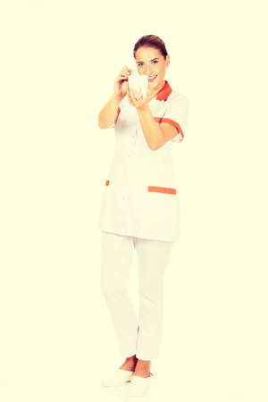 Young female dentist holding a tooth model and dental mirror.の写真素材