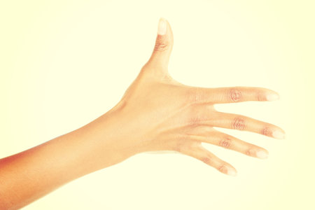 Woman hand (palm) isolated on white backgroundの写真素材