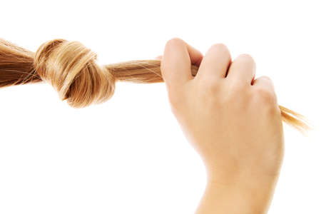 Blonde, long hair knot isolated on white background.の写真素材