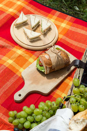 Picnic concept - food and wine on the blanket.の写真素材