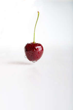 Wet fresh juicy single cherry.の写真素材
