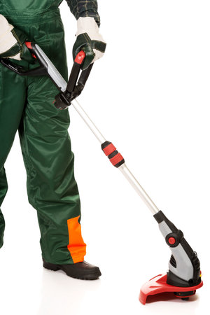 Experienced gardener trimming with protective gloves
