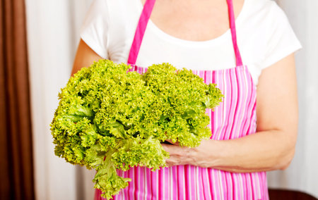 Senior woman holding green salad.の写真素材