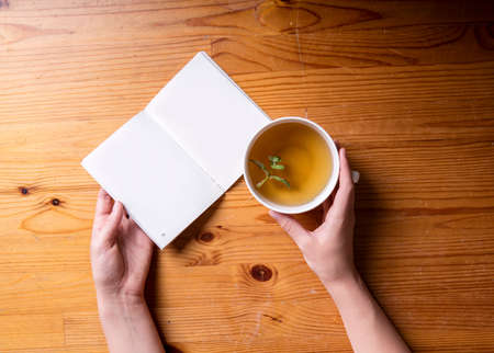 Woman hands with cup of tea and bookの写真素材
