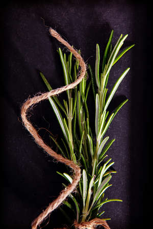 Fresh green rosemary on chalkboard.の写真素材
