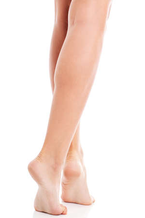 Beauty slim female legs, isolatedの写真素材
