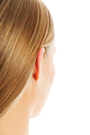 Beautiful long blonde hair, isolated on white background.の写真素材