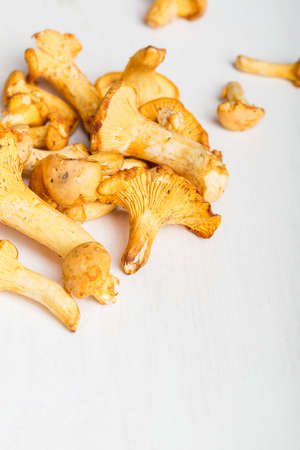Heap of fresh yellow forestry chanterelle.の写真素材