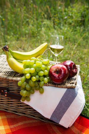 Picnic concept - wine and fruitsの写真素材
