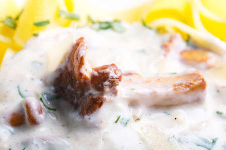 Pasta with cream sauce with chanterelle.の写真素材