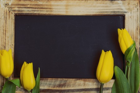 Beautiful yellow tulips with blackboardの写真素材