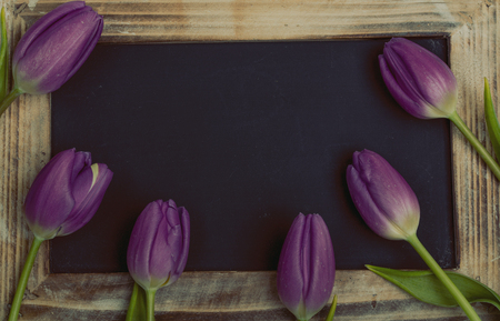 Beautiful purple tulips with blackboard.の写真素材