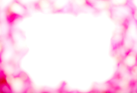 Frame of pink roses petals.の写真素材