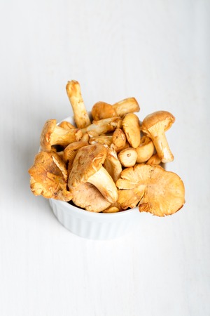 Heap of fresh yellow forestry chanterelle.の写真素材