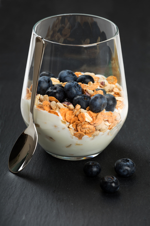 Dietetic breakfast - yoghurt with muesli and huckleberries.の写真素材