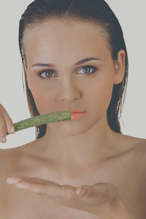 Aloe vera for kepping beautyの写真素材