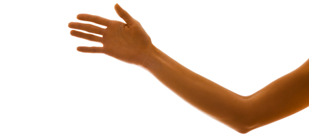 Female arm on white backgroundの写真素材