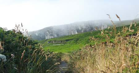 Holy Iland coast line on sunny day.