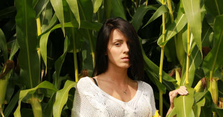 Girl relaxing in a corn field.の写真素材