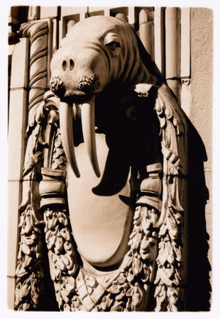 arctic clubの写真素材