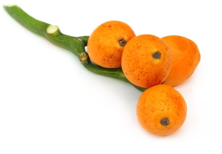 Betel nuts on white backgroundの写真素材