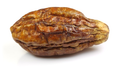 Medicinal Haritaki fruitの写真素材