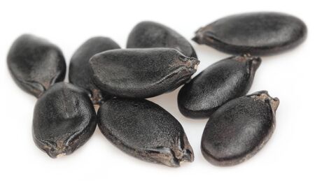 Seeds of ridge gourd over white backgroundの写真素材